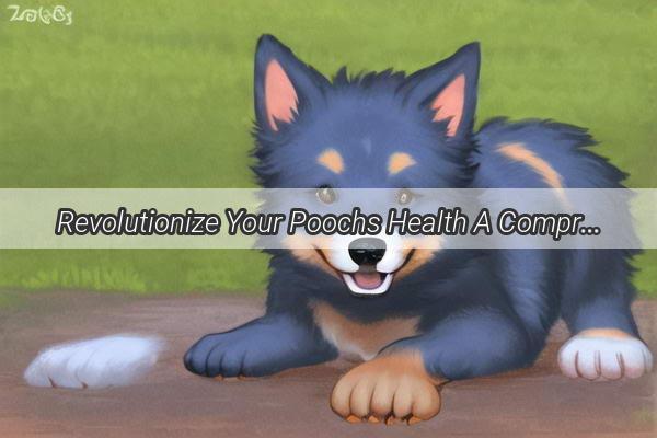 Revolutionize Your Poochs Health A Comprehensive Guide to Dog Cough Remedies with Delicious Recipes